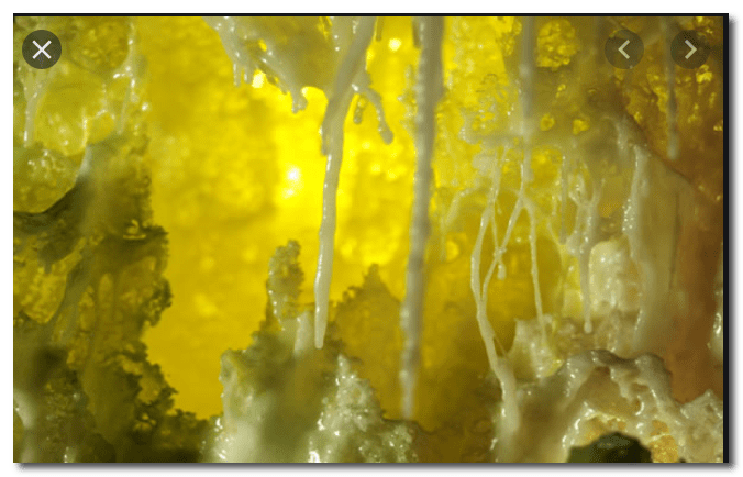 义云高大师 义云高大师