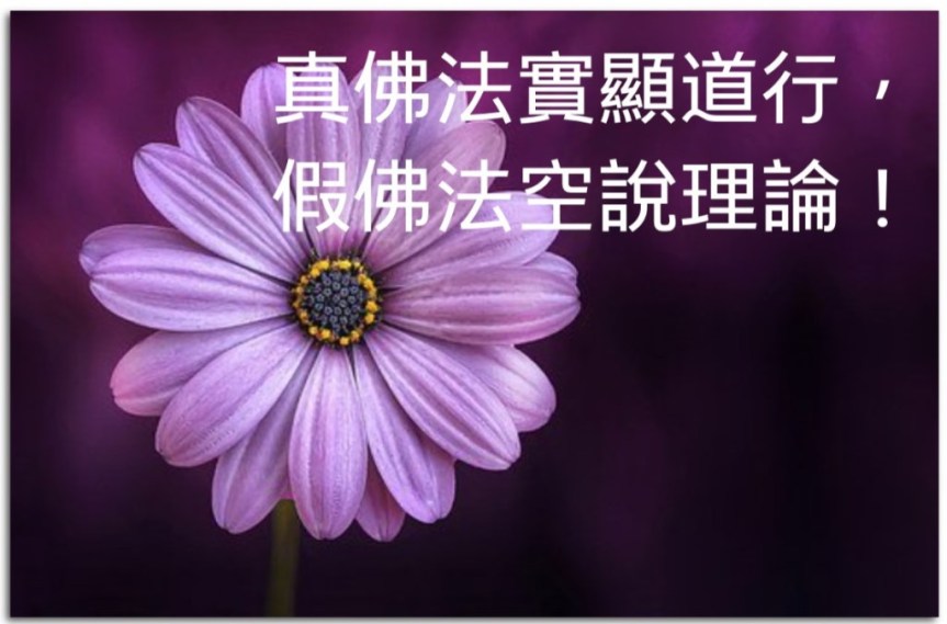 真佛法實顯道行，假佛法空說理論。