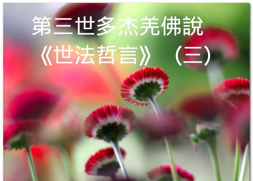 第三世多杰羌佛說《世法哲言》（三）
