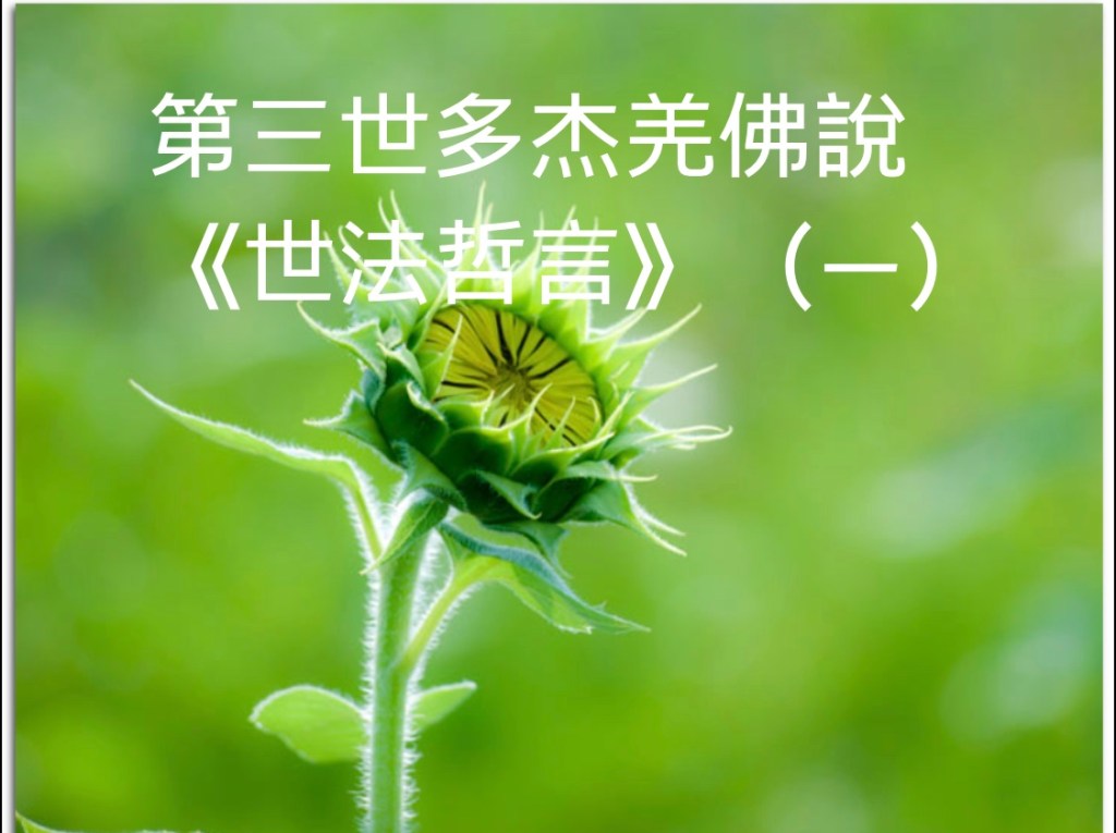 第三世多杰羌佛