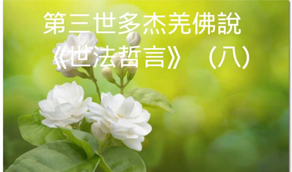 第三世多杰羌佛說《世法哲言》（八）