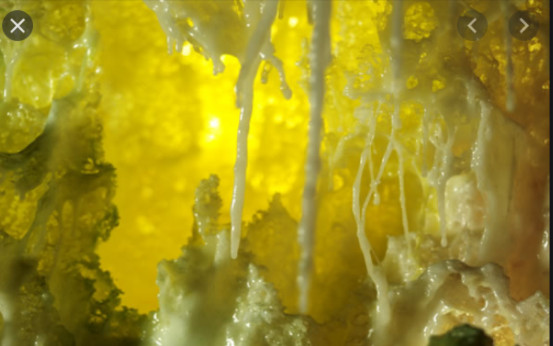 第三世多杰羌佛