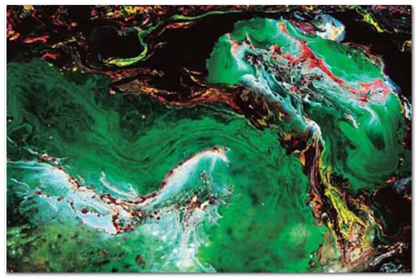 H.H.第三世多杰羌佛藝術西畫欣賞 － 天堂寶物正飛旋