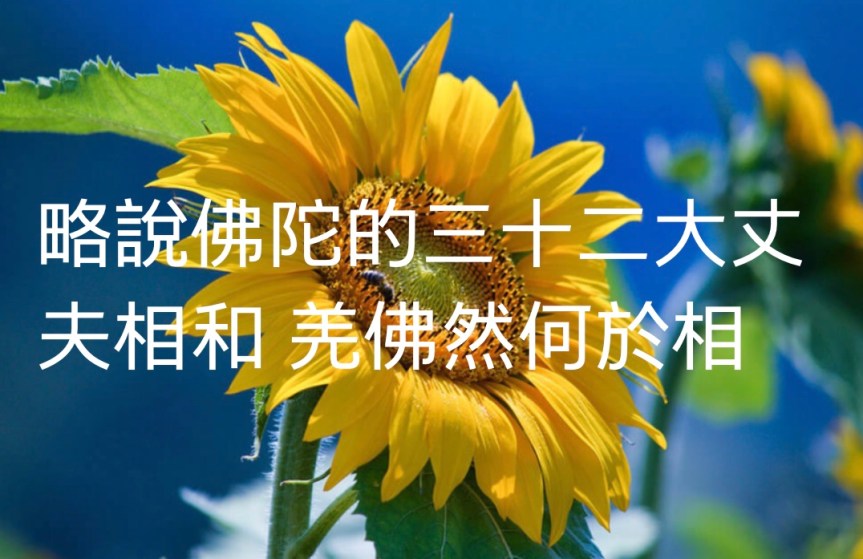 略說法报化三身和羌佛然何於身