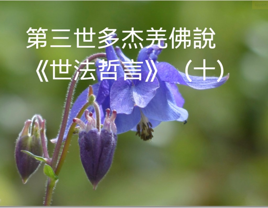 第三世多杰羌佛說《世法哲言》（十）