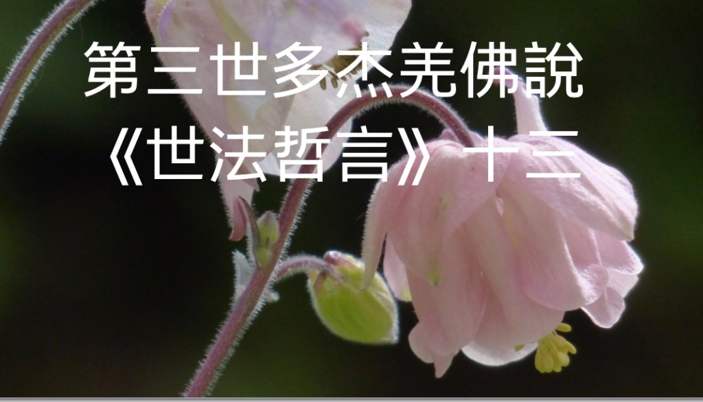 第三世多杰羌佛說《世法哲言》（十三）