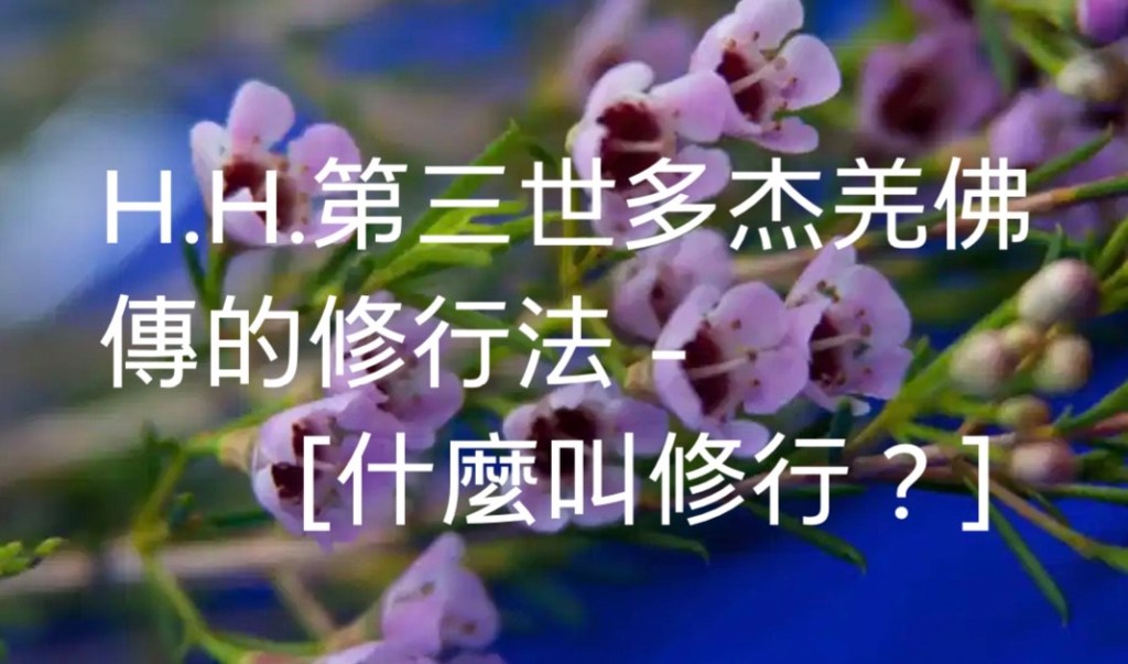 H.H.第三世多杰羌佛傳的修行法-什麼叫修行? H.H.第三世多杰羌佛傳的修行法-什麼叫修行?