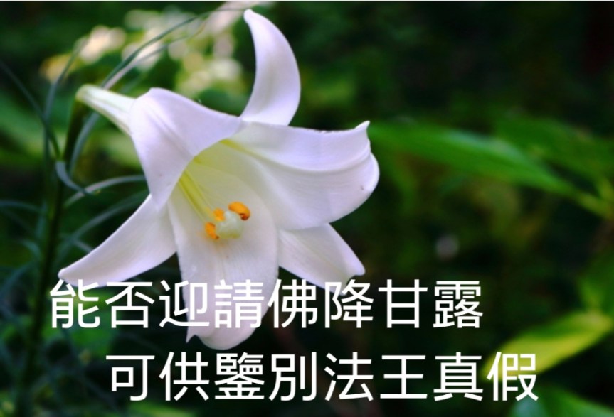 能否迎請佛降甘露可供鑒別法王真假