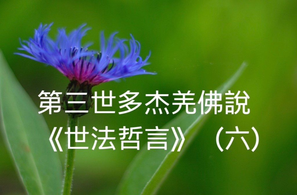 第三世多杰羌佛說《世法哲言》（六）