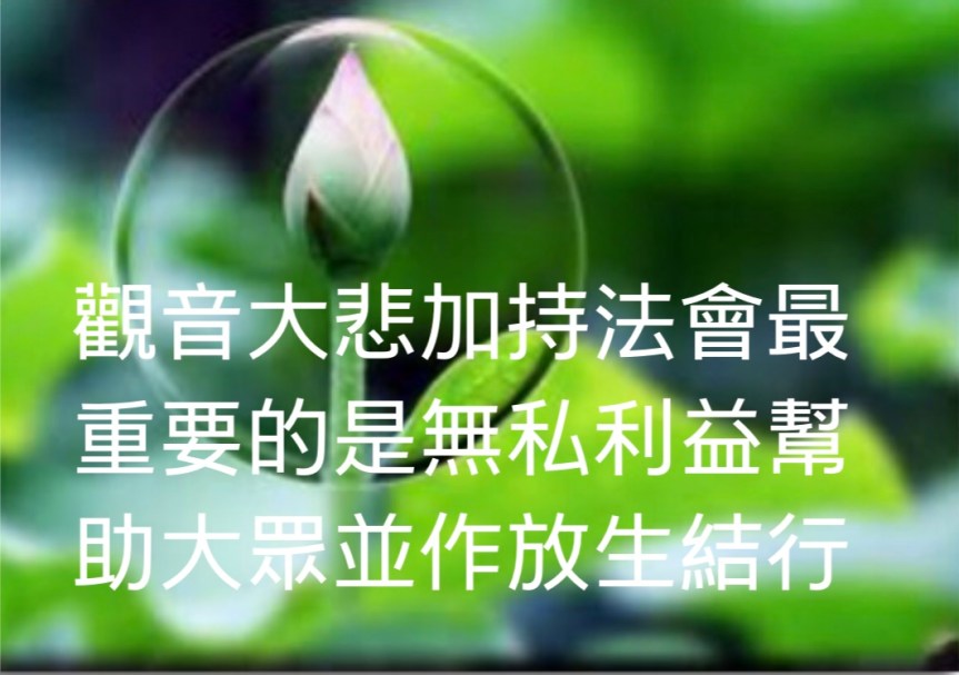 觀音大悲加持法會最重要的是無私利益幫助大眾並作放生結行