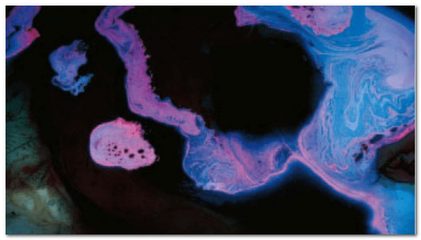 H.H.第三世多杰羌佛藝術西畫欣賞 －靈的威猛