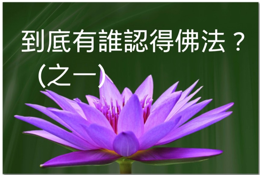 到底有誰認得佛法？（之一）——與國際佛教僧尼總會大德們商讨