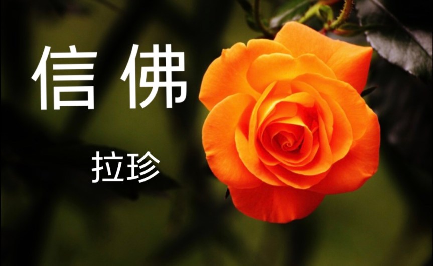 信佛 – 拉珍