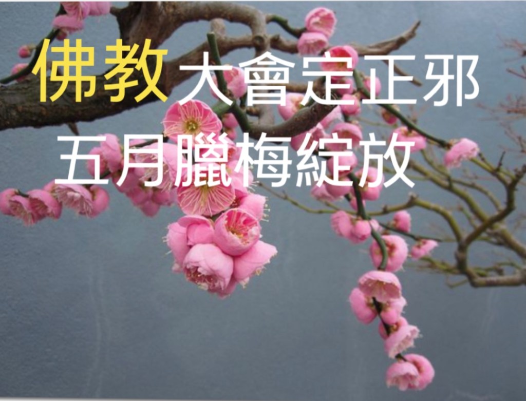 第三世多杰羌佛 第三世多杰羌佛