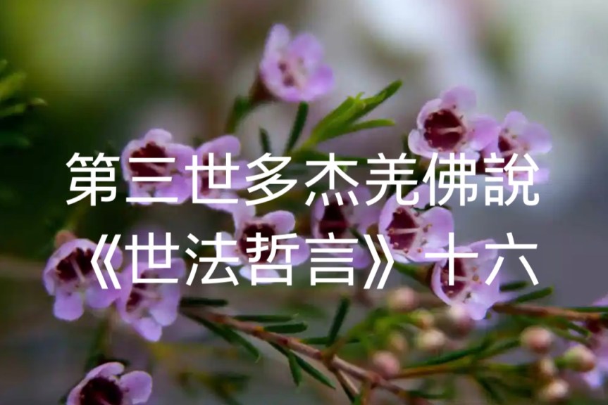 第三世多杰羌佛說《世法哲言》（十六）