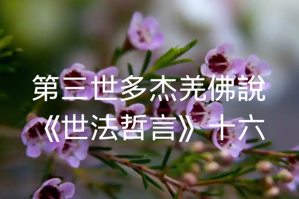 第三世多杰羌佛說《世法哲言》(十六) 第三世多杰羌佛說《世法哲言》(十六)