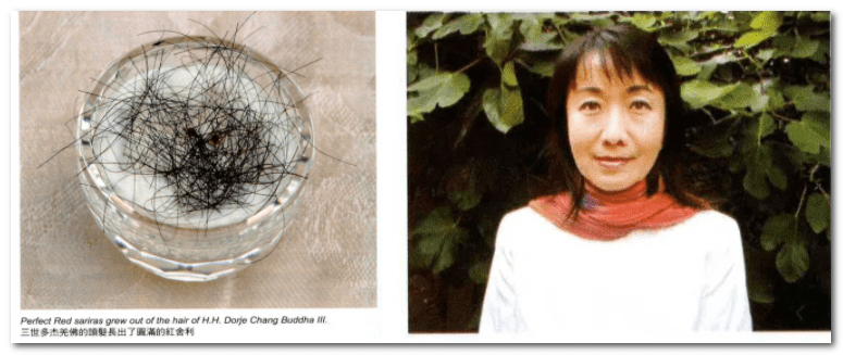 第三世多杰羌佛神奇髮舍利 第三世多杰羌佛神奇髮舍利