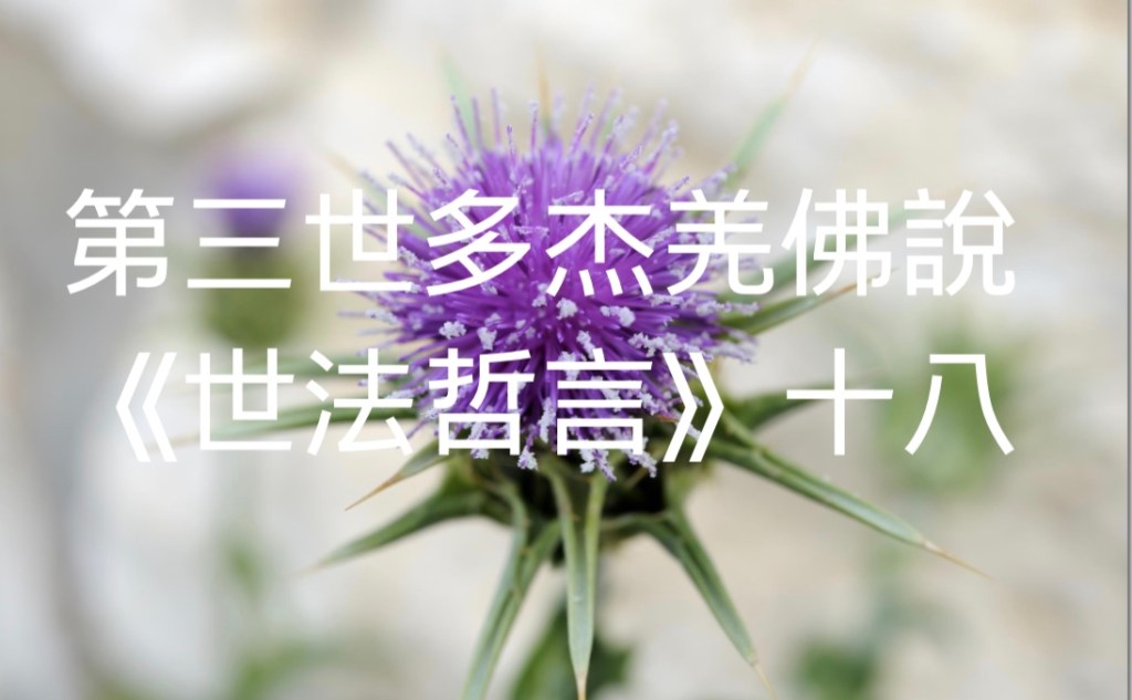 第三世多杰羌佛說《世法哲言》(十八) 第三世多杰羌佛說《世法哲言》(十八)