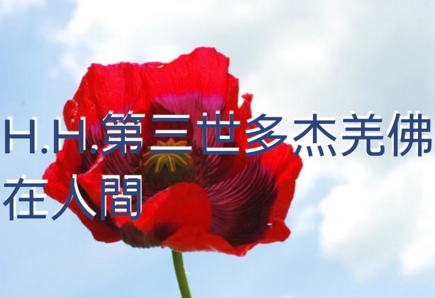 H.H.第三世多杰羌佛在人間