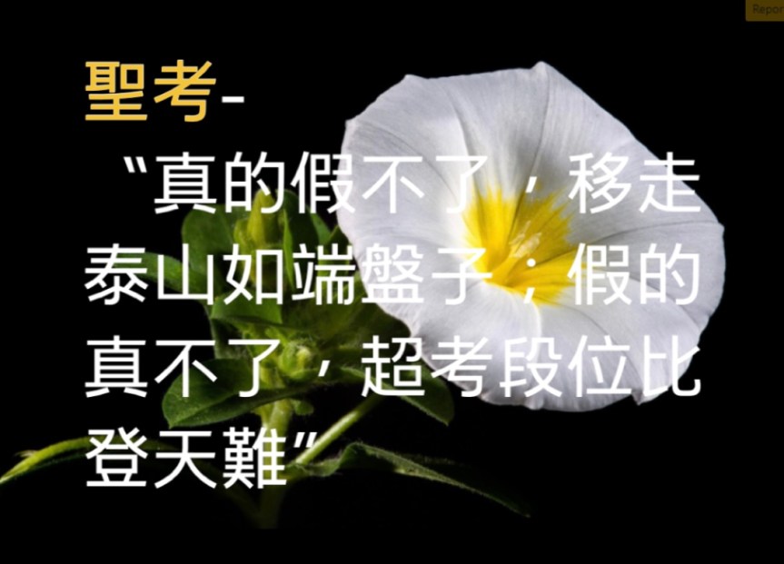 世界佛教總部公告（公告字第20170108號）