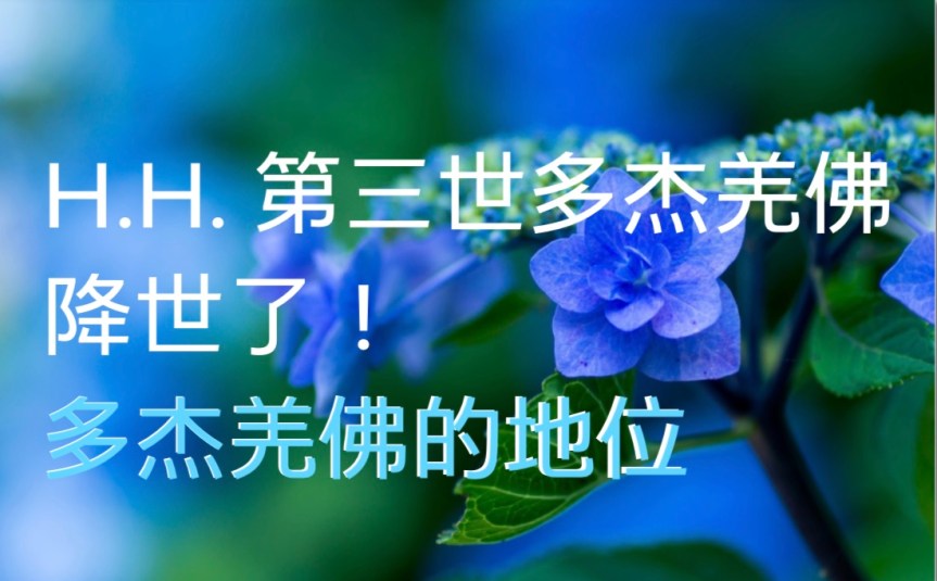 H.H.第三世多杰羌佛降世了！ 多杰羌佛的地位