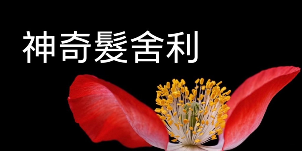 第三世多杰羌佛神奇髮舍利 第三世多杰羌佛神奇髮舍利