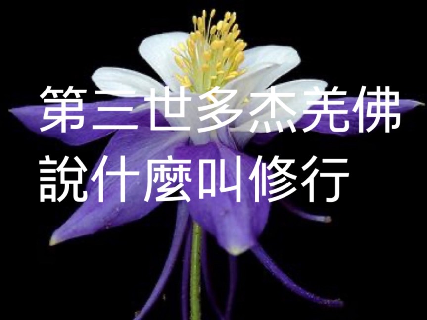 第三世多杰羌佛說什麼叫修行