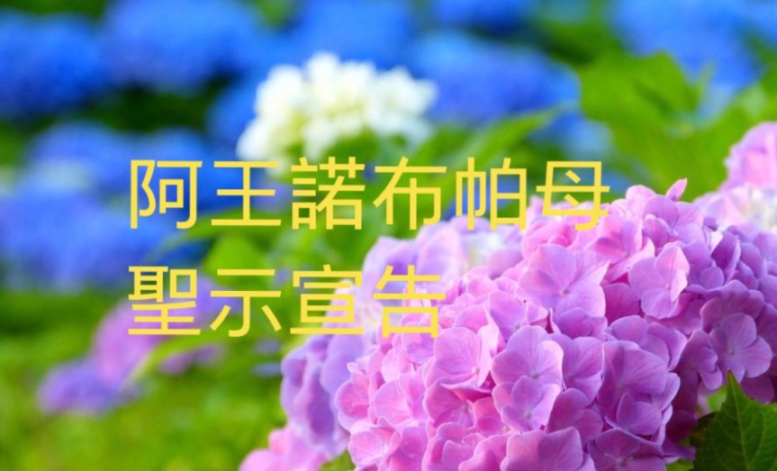 阿王諾布帕母聖示宣告