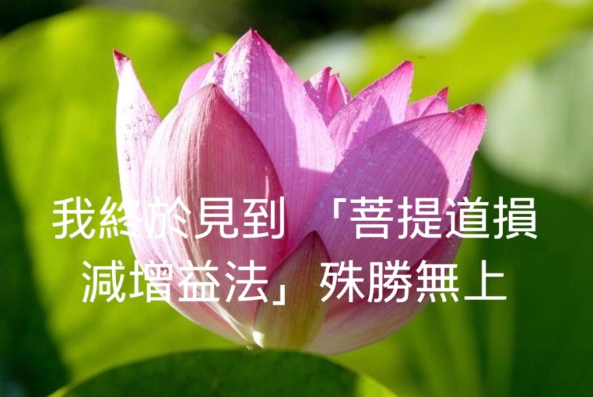 我終於見到 「菩提道損減增益法」殊勝無上