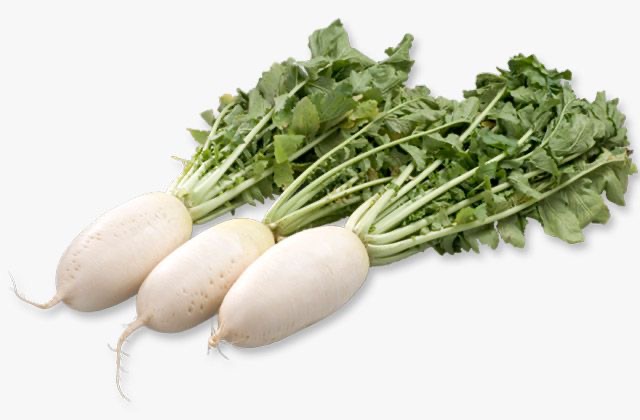 不負好食光 – 新素食