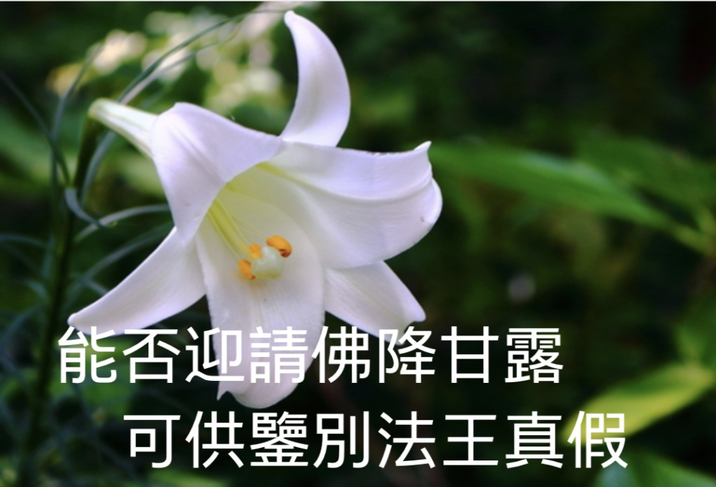 第三世多杰羌佛