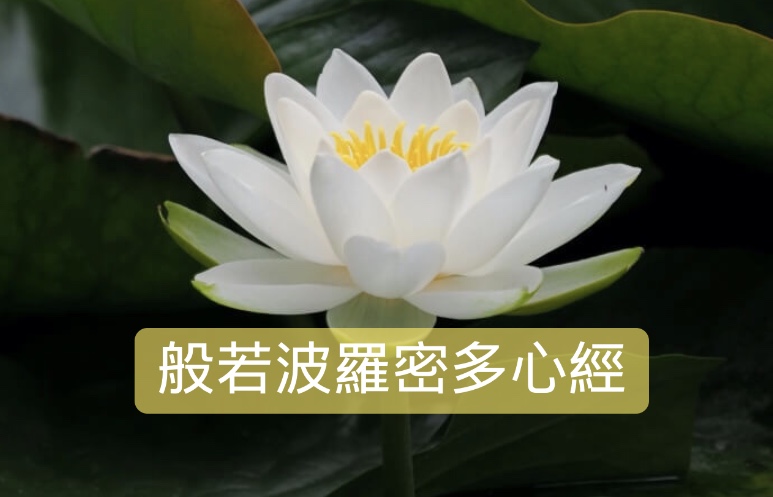 般若波羅密多心經講義