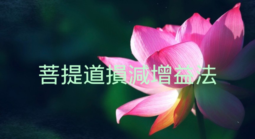 菩提道損減增益法相關公告