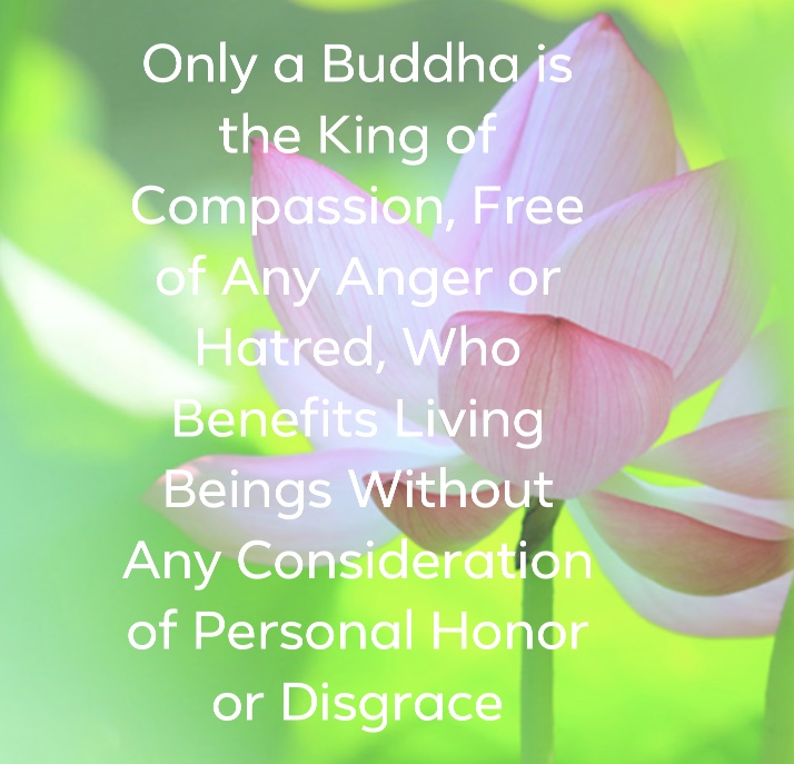 Only a Buddha is the King of Compassion, Free of Any Anger or Hatred, Who Benefits Living Beings Without Any Consideration of Personal Honor or Disgrace