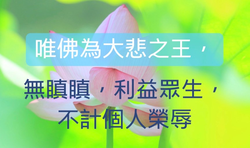 唯佛為大悲之王，無瞋恨，利益眾生，不計個人榮辱