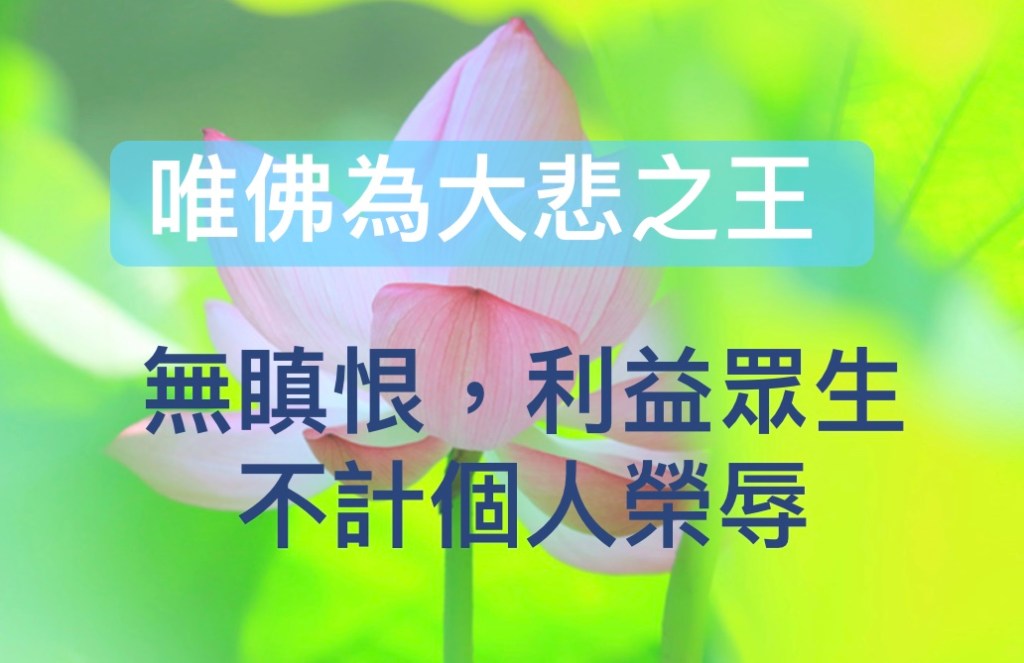 唯佛為大悲之王,無瞋瞋,利益眾生,不計個人榮辱