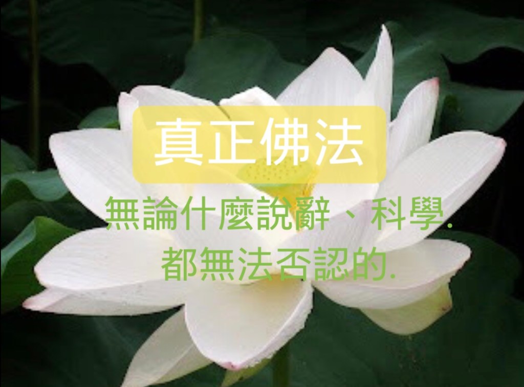 拿杵上座 鑒別聖凡相關文告彙整