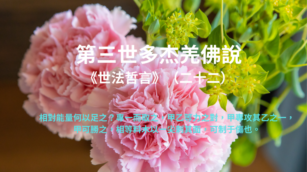 第三世多杰羌佛說《世法哲言》（二十二）