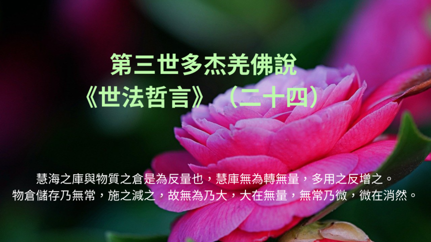 第三世多杰羌佛說《世法哲言》（二十四）
