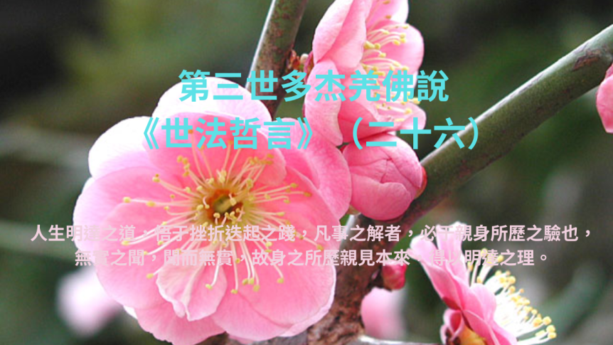 第三世多杰羌佛說：《世法哲言》（二十六）