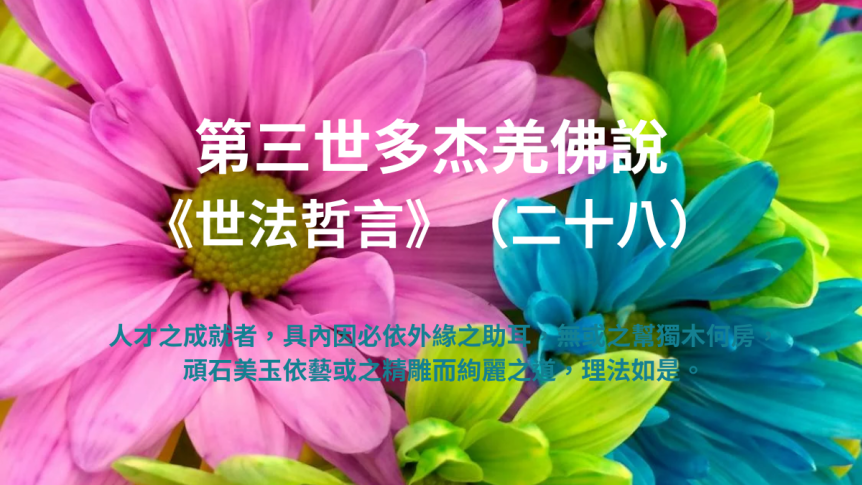 第三世多杰羌佛說《世法哲言》（二十八）