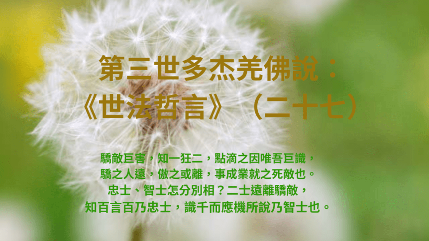 第三世多杰羌佛說：《世法哲言》（二十七）