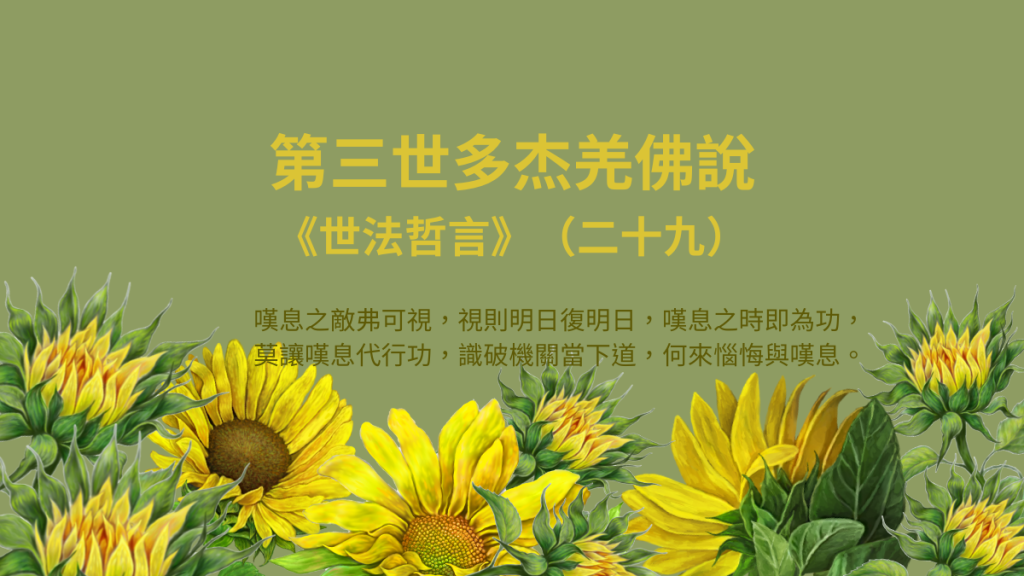 第三世多杰羌佛說《世法哲言》（二十九）