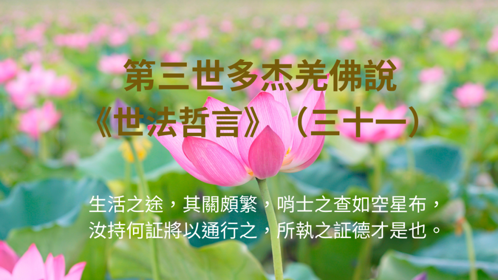第三世多杰羌佛說《世法哲言》（三十一）