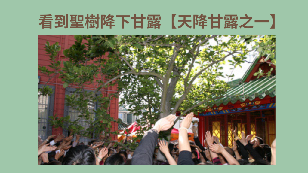 看到聖樹降下甘露【天降甘露之一】