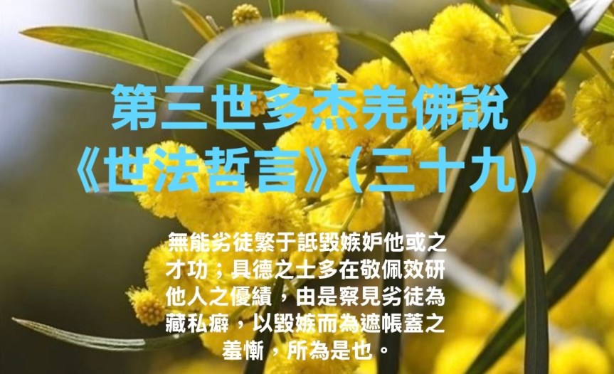 南無第三世多杰羌佛說《世法哲言》(三十九)
