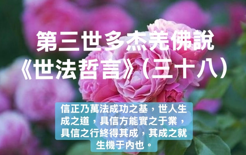 南無第三世多杰羌佛說《世法哲言》(三十八) 南無第三世多杰羌佛說《世法哲言》(三十八)