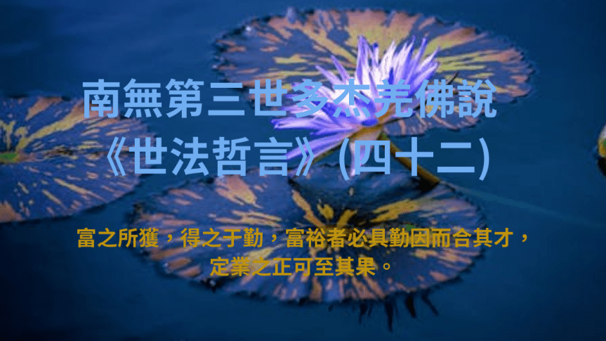 南無第三世多杰羌佛說《世法哲言》 (四十二)