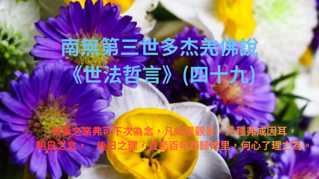 南無第三世多杰羌佛說《世法哲言》(四十九)
